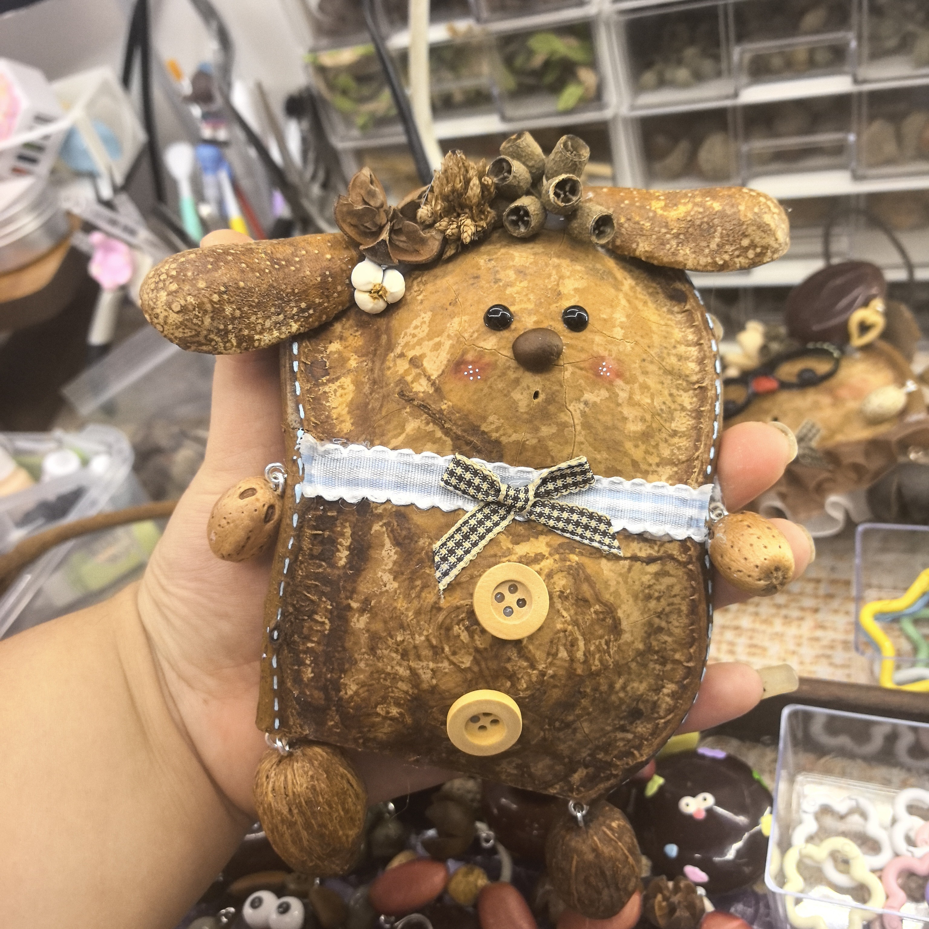榼藤豆荚双豆双面小猪