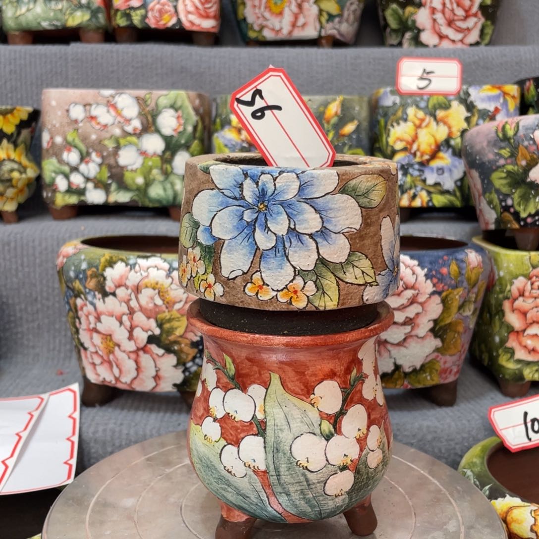 红陶新年福利888888888