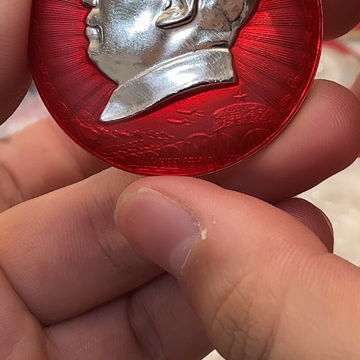 像章一一一一一一一高贵轻