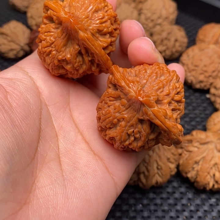 秦岭野生00000031