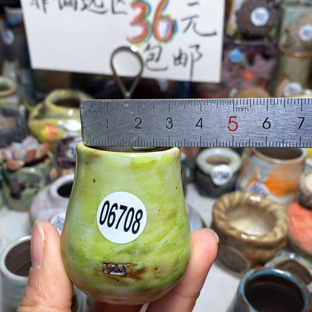 花盆拍5送一个小礼物