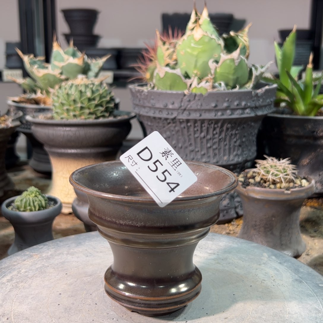 景德镇素里手工内口11.5高9.5