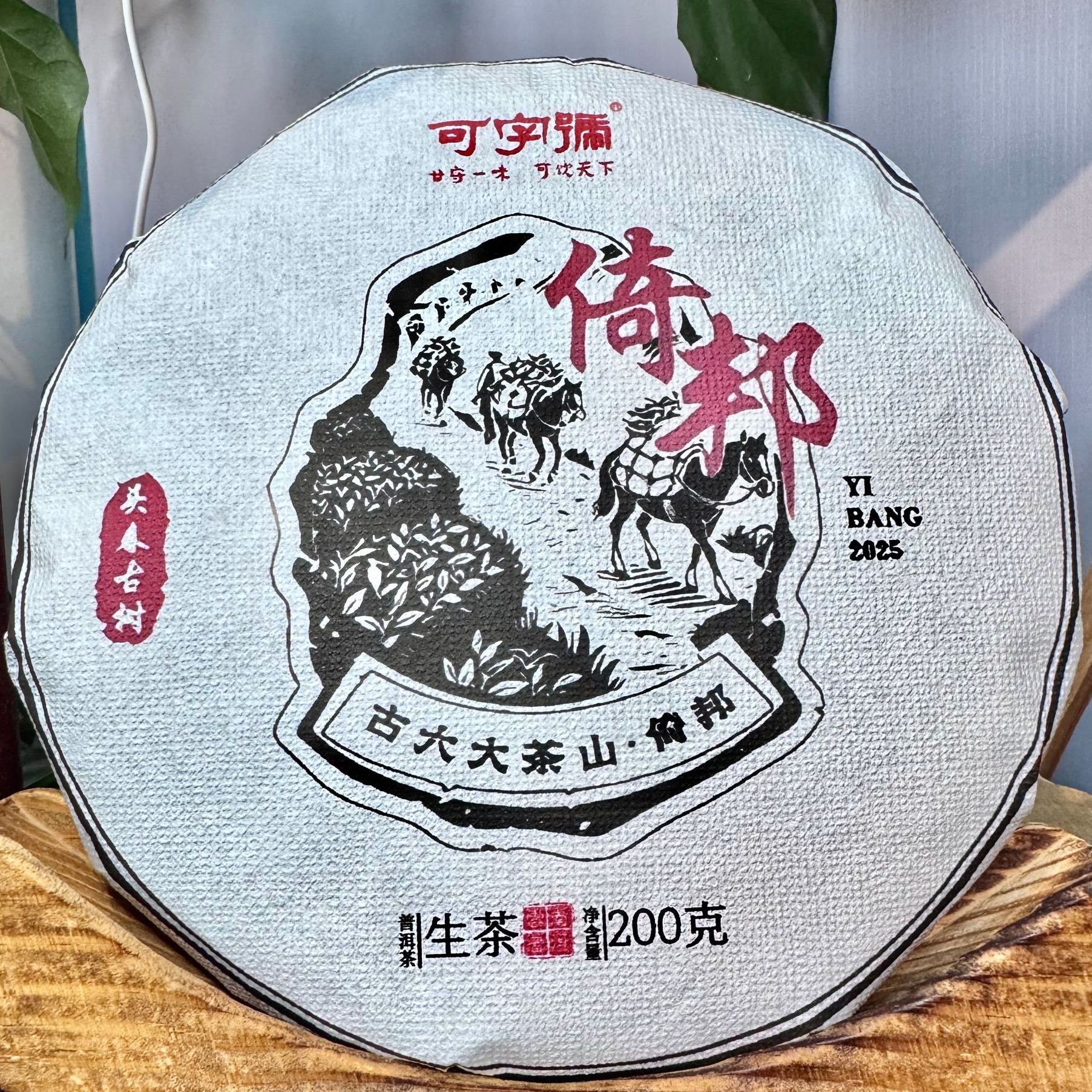 可字号2022年古六大茶山倚邦头春古树200g花香蜜韵