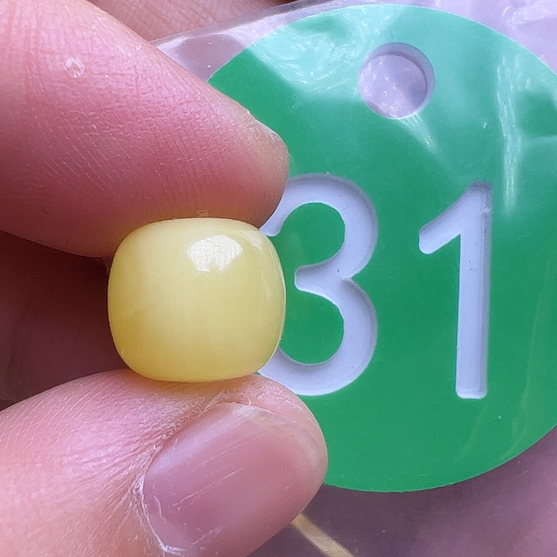 蜜蜡未镶嵌珠宝奇石10.5m m