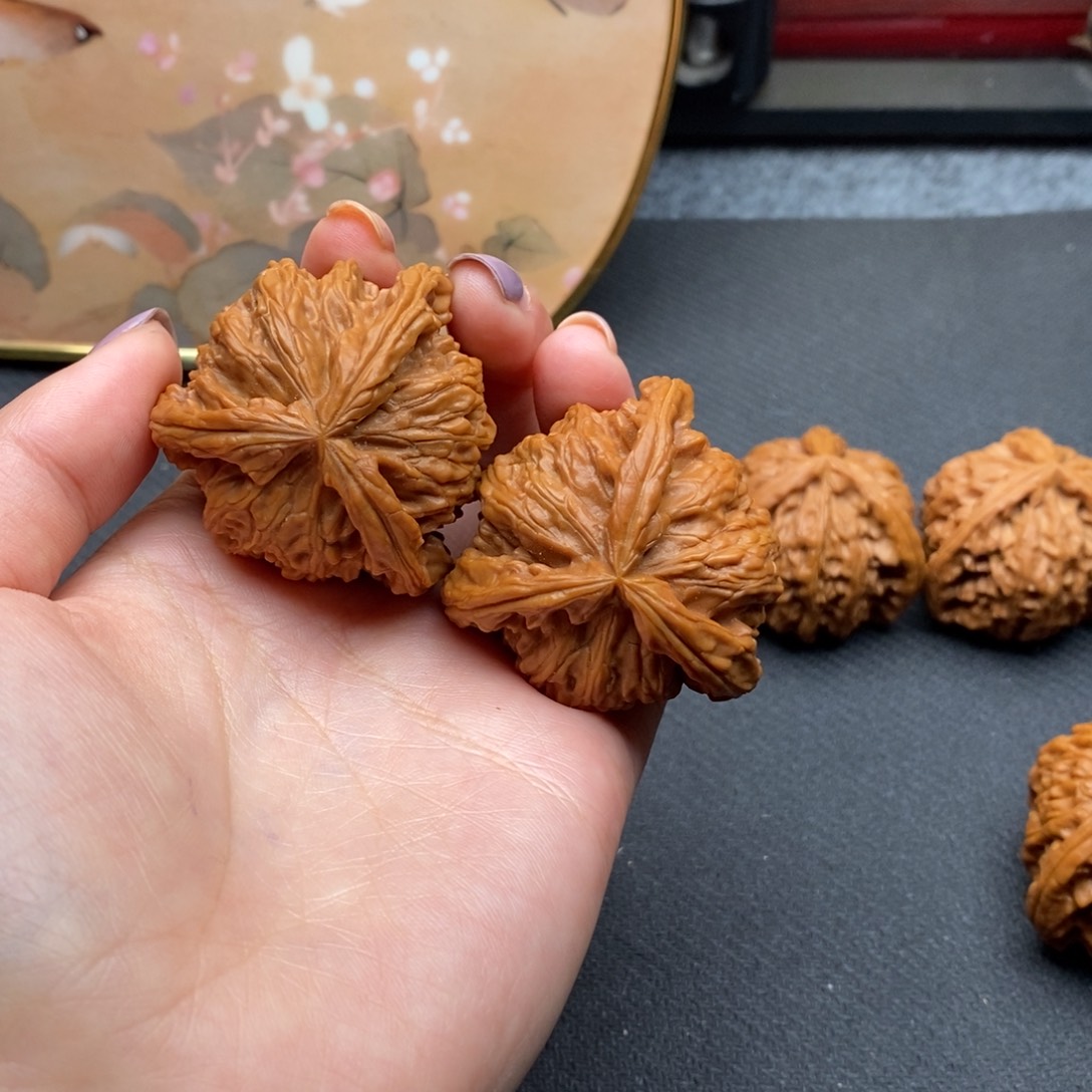 以***。白狮子11111111111