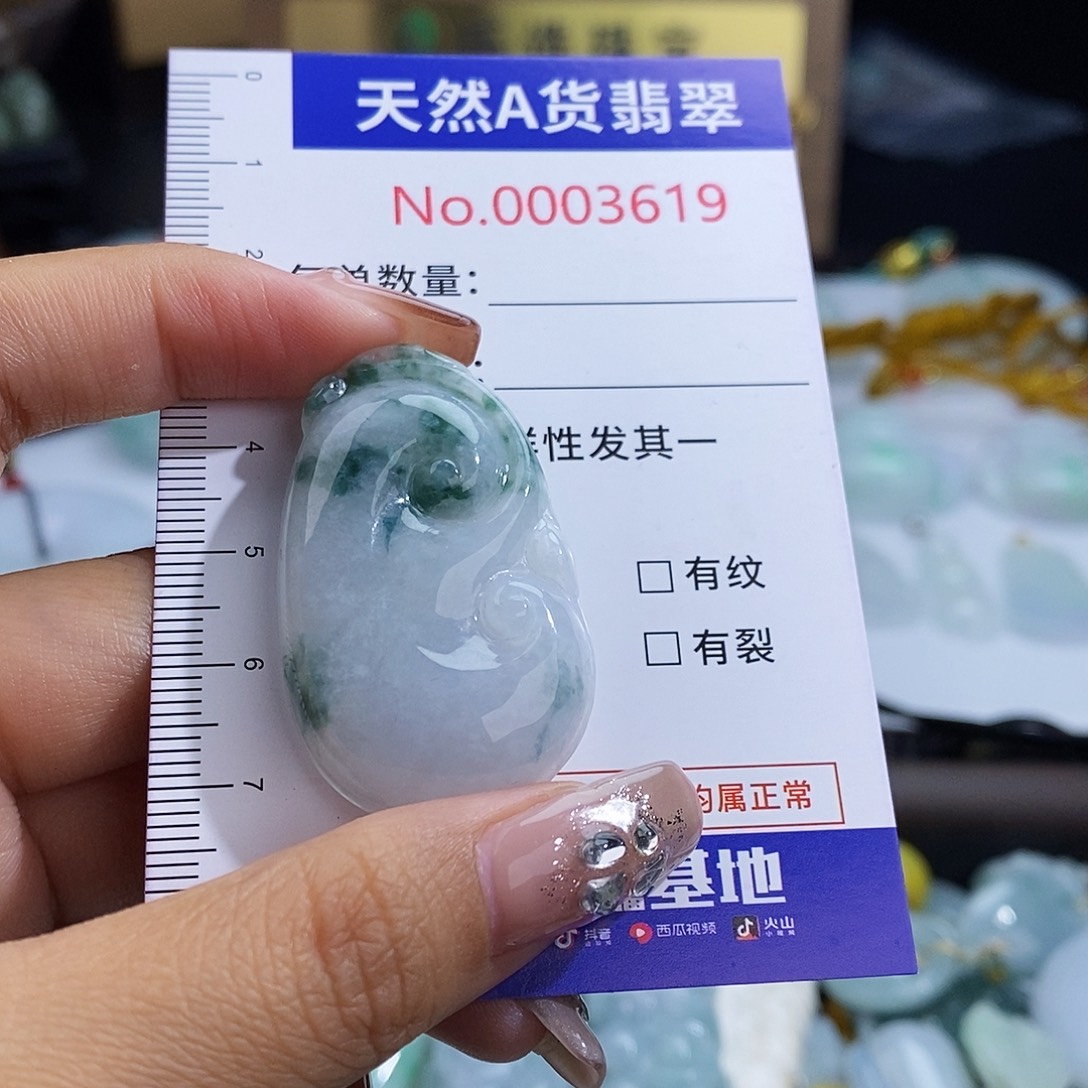 翡翠未镶嵌颈饰3619