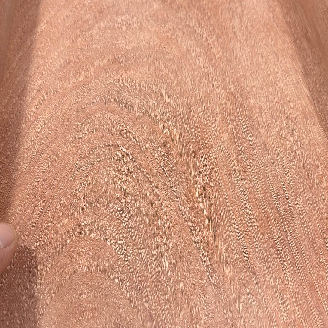 前***）木盘子6666666666