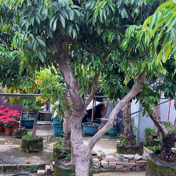 玉****寓果66666666666666