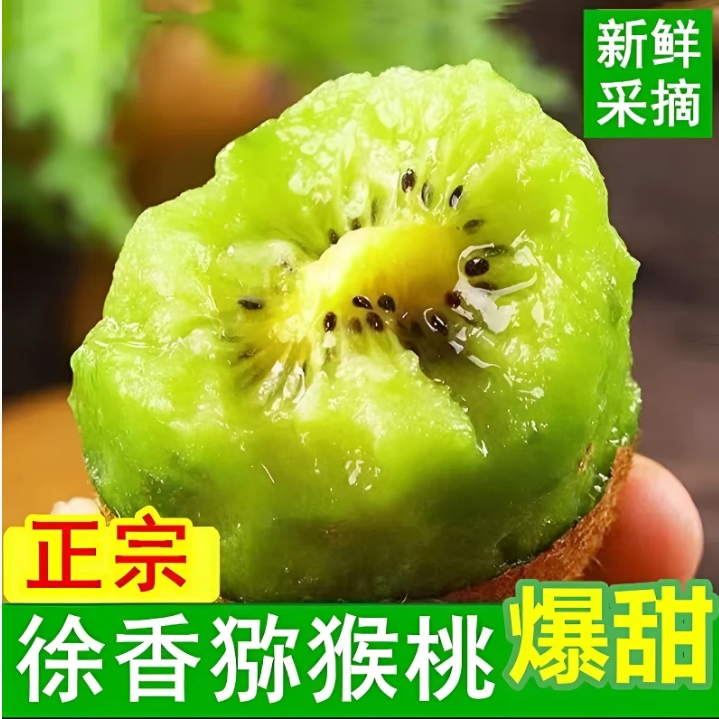 陕西正宗徐香猕猴桃果园产地现摘现发鲜嫩多汁坏果包赔50g-110g