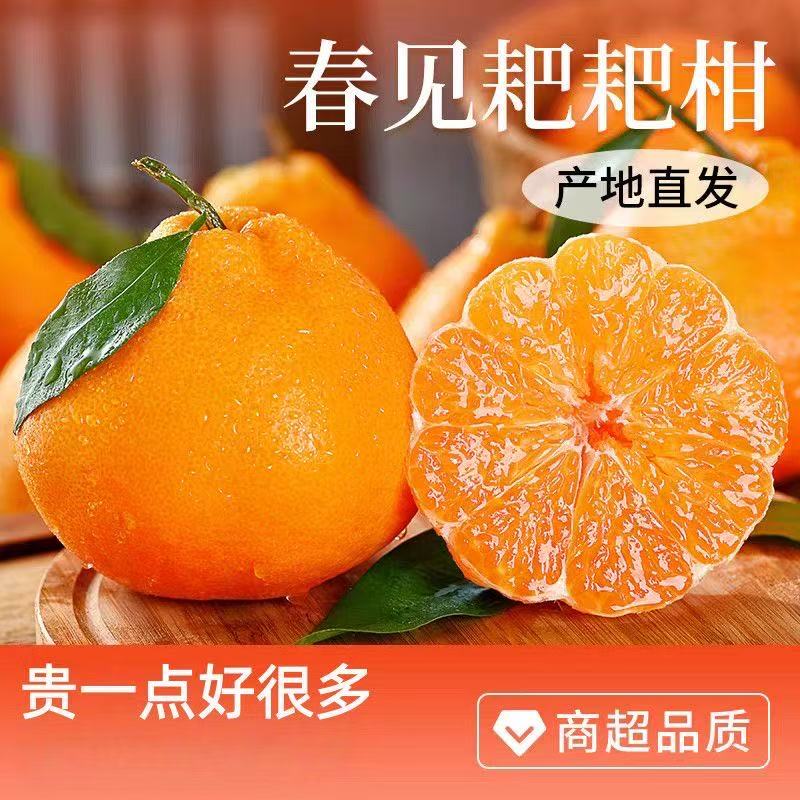 四川春见耙耙柑产地直发新鲜香甜多汁手剥水果【精品大果5斤】