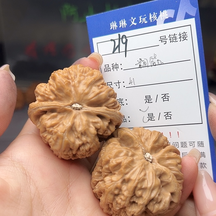 文玩核桃吊坠核桃树219