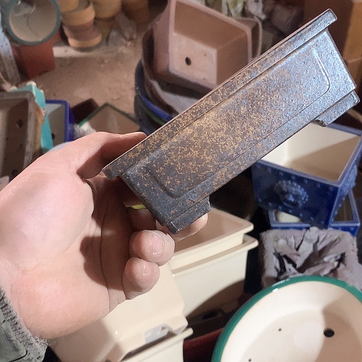 紫砂我要努力赚钱给你们