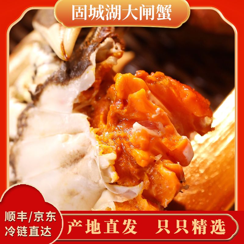 【活蟹全母】固城湖大闸蟹全母单只2.3-2.0两共10只顺丰冷链包邮