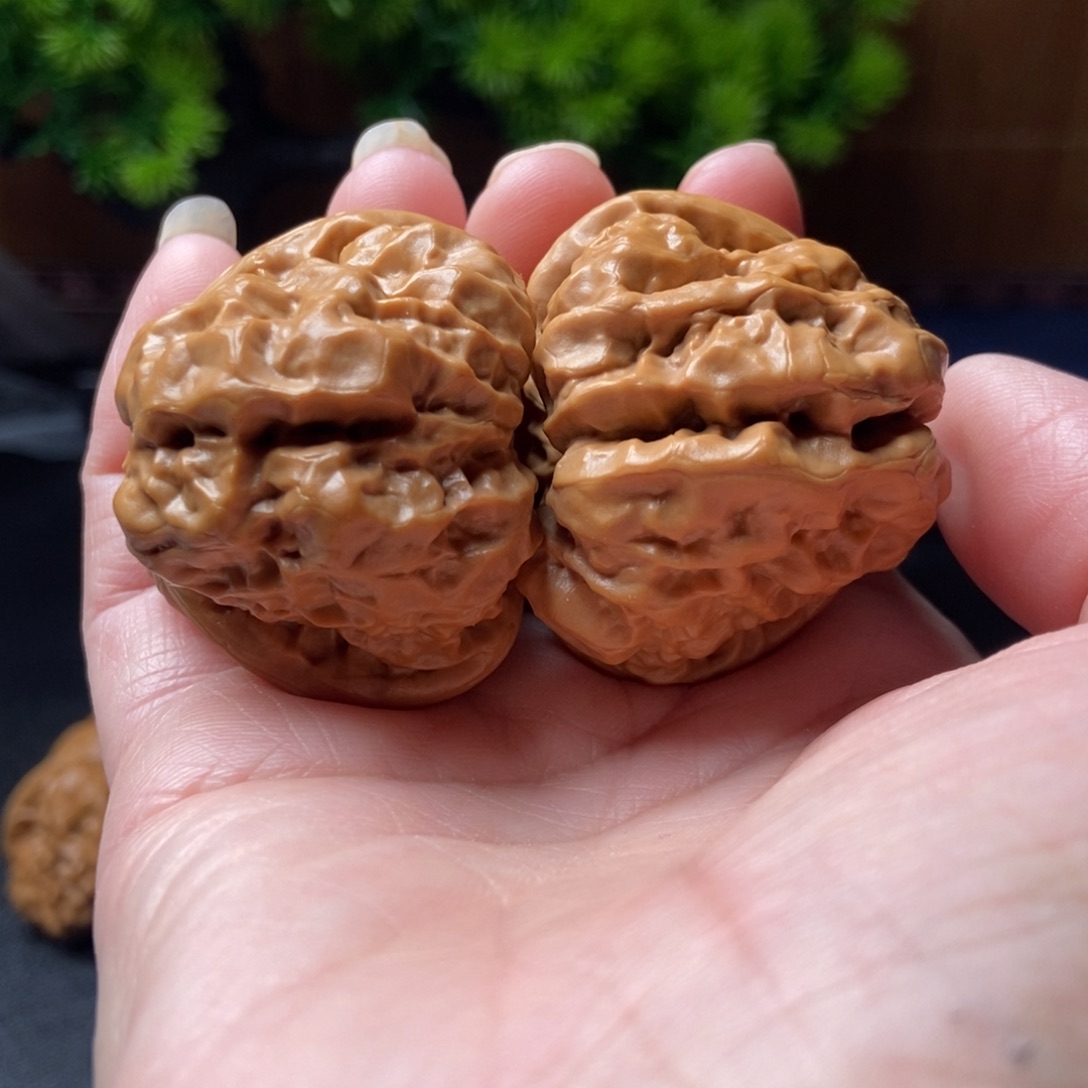 文玩核桃把件蛤蟆头41