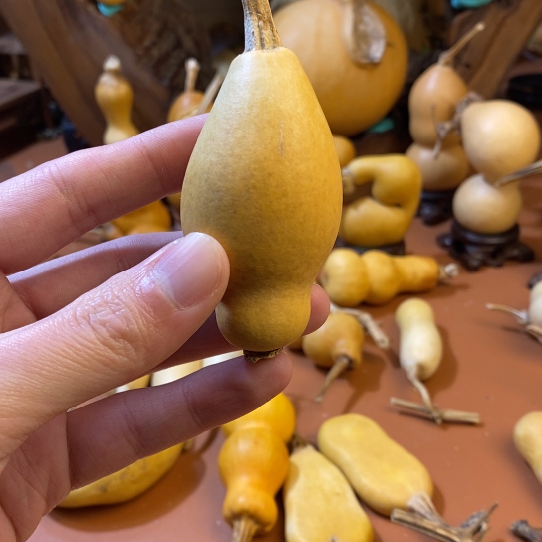 富***艺教练教练教练教练经理