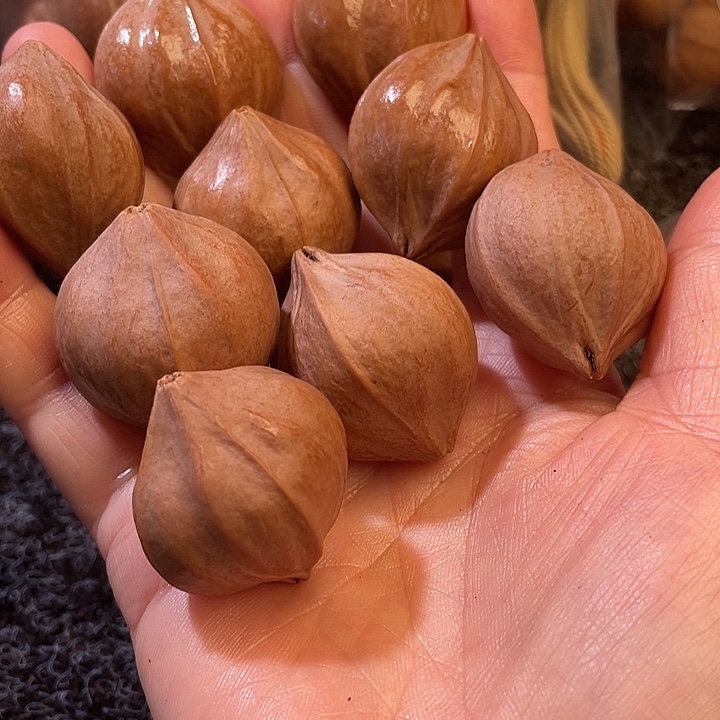 用***5吊坠橄榄核2.8四化