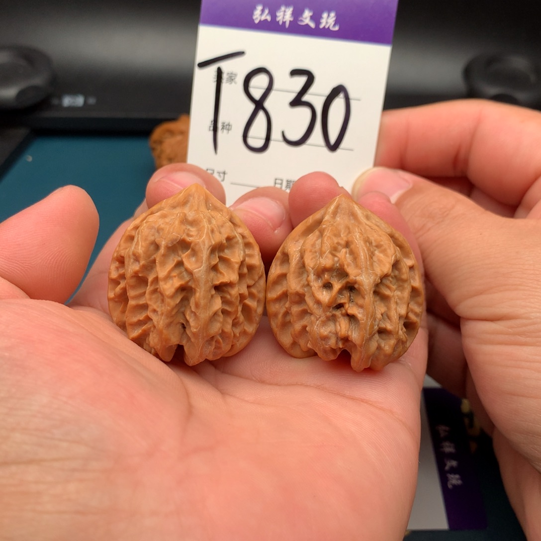 文玩核桃把件36大龙830