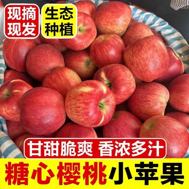 云南昭通丑苹果红路品种新鲜应季脆甜水果产地直发