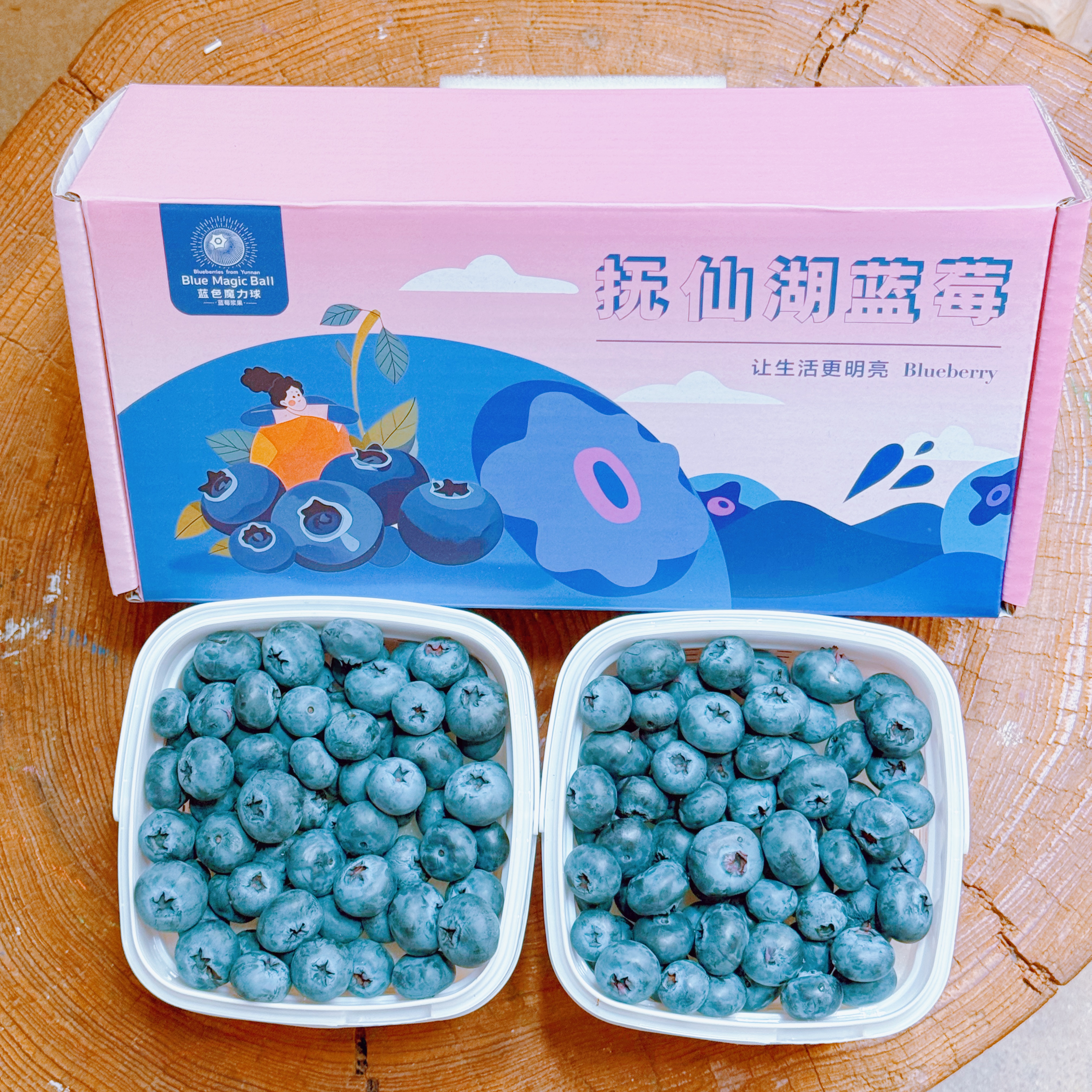 350g+原箱桶装云南澄江脆甜蓝莓原箱桶 孕妈辅食花香脆甜基地直发