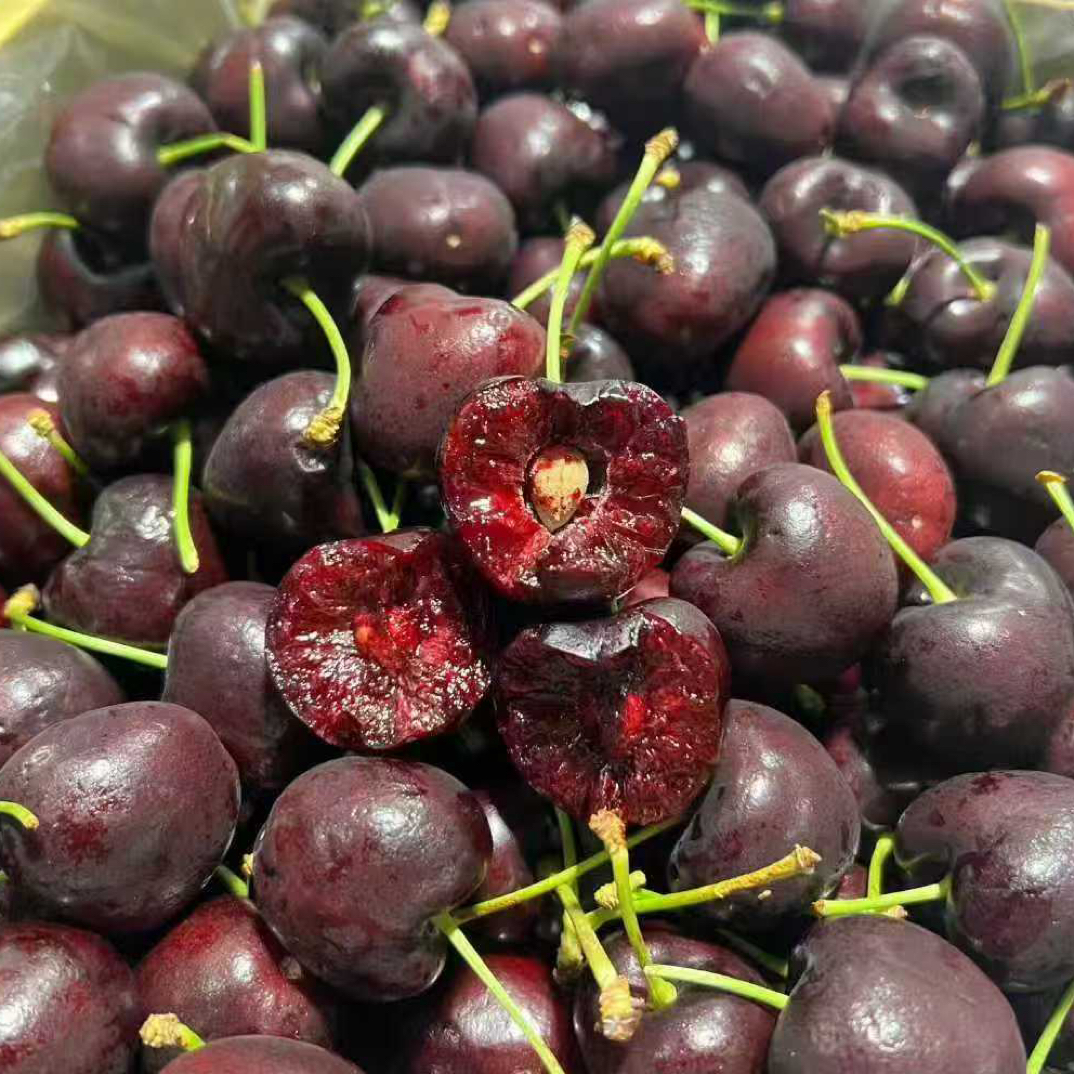 海运智利车厘子JJDD一盒5斤装智利