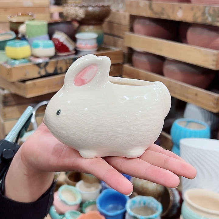 花盆有孔！订单凑满10米包由！