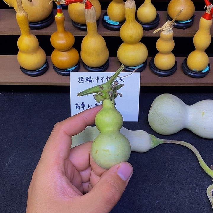 ￴****ㅤ哈哈哈哈哈哈哈哈