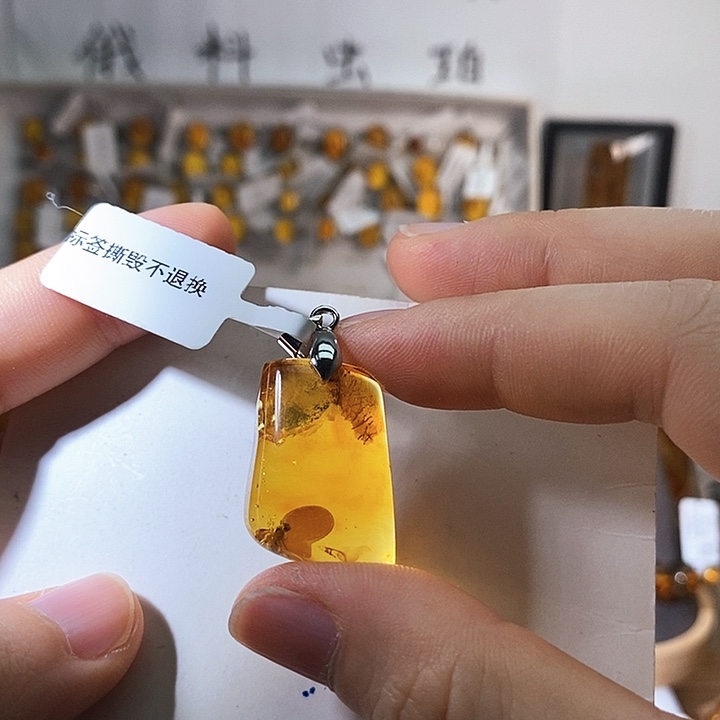 未镶嵌颈饰琥珀琥珀虫珀飞蝇