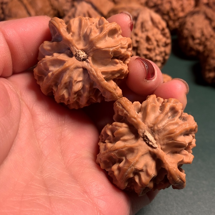 桃核吊坠Z***.苹果全品