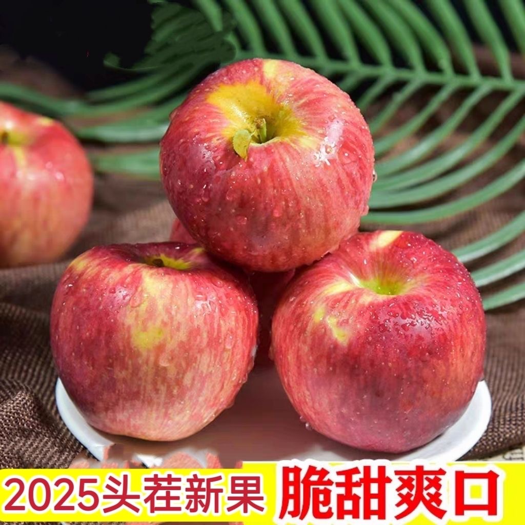 云南高山早熟丑苹果新鲜现摘应季水果