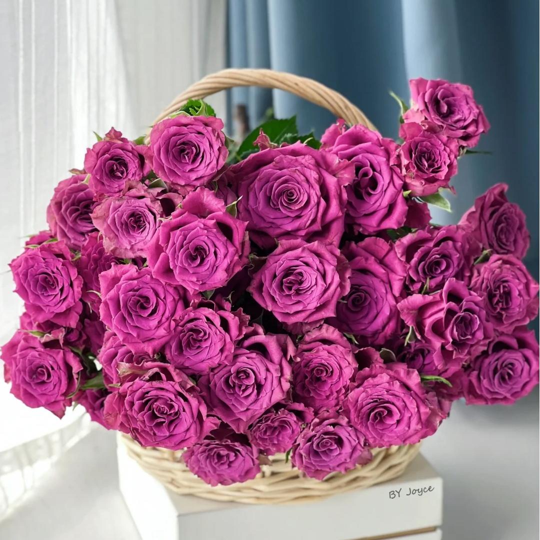 【多头蓝莓玫瑰】斗南鲜花云南直发玫瑰鲜花两单京东冷链包邮