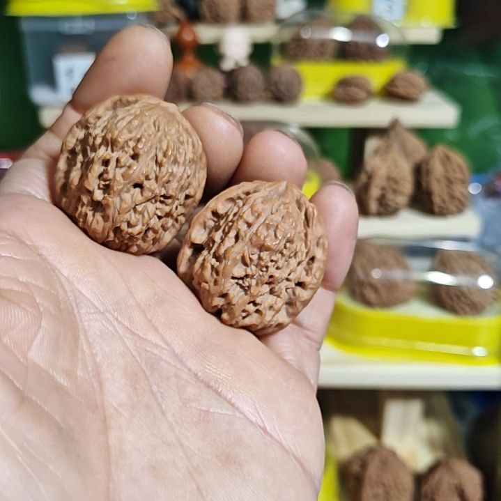 33加尺寸凹底窝头南疆