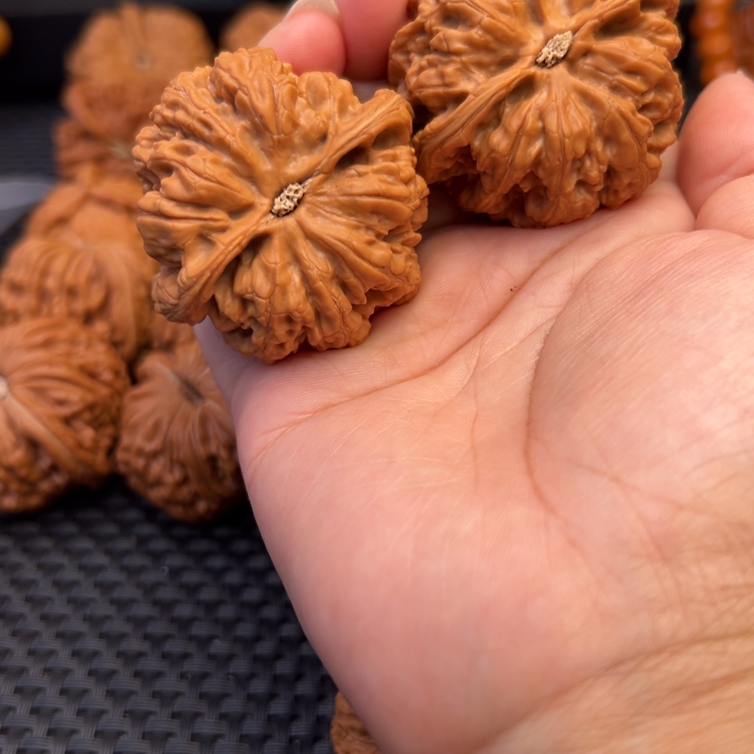 西***.桃核吊坠粗筋46全品