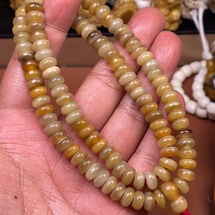 驼骨摆件人工养殖