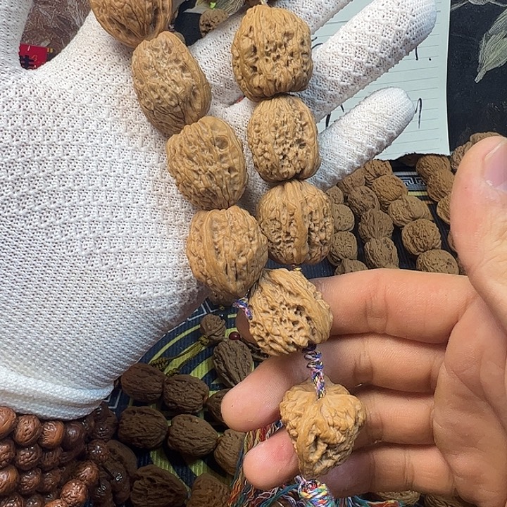 用***925高炮姐姐姐姐姐姐了