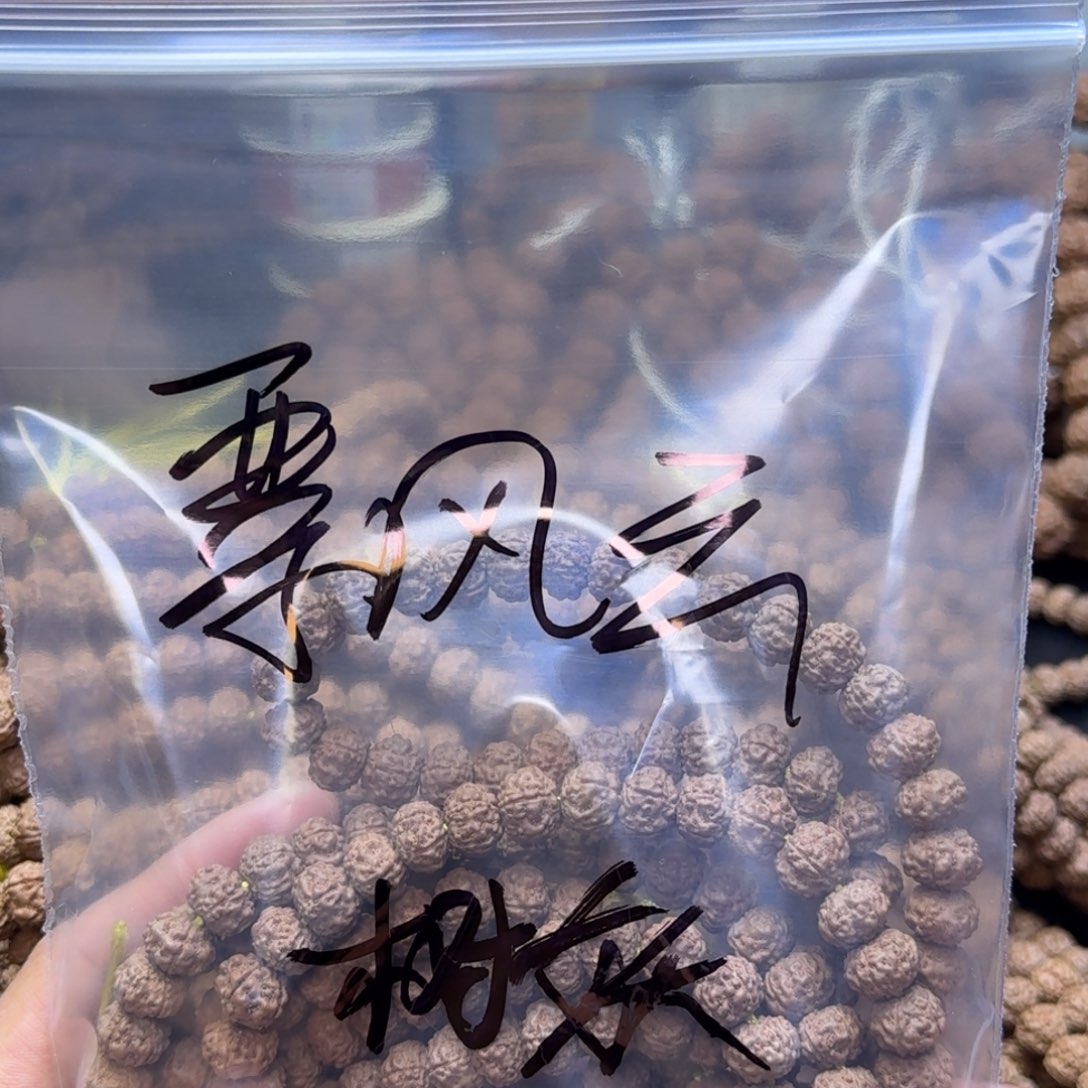 飘***云金刚菩提吊坠树妖2条