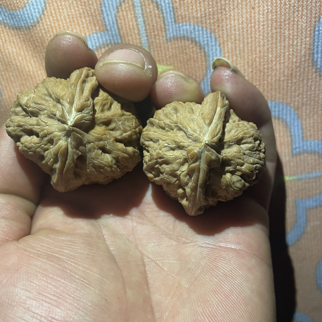 文玩核桃千佛山小粗筋