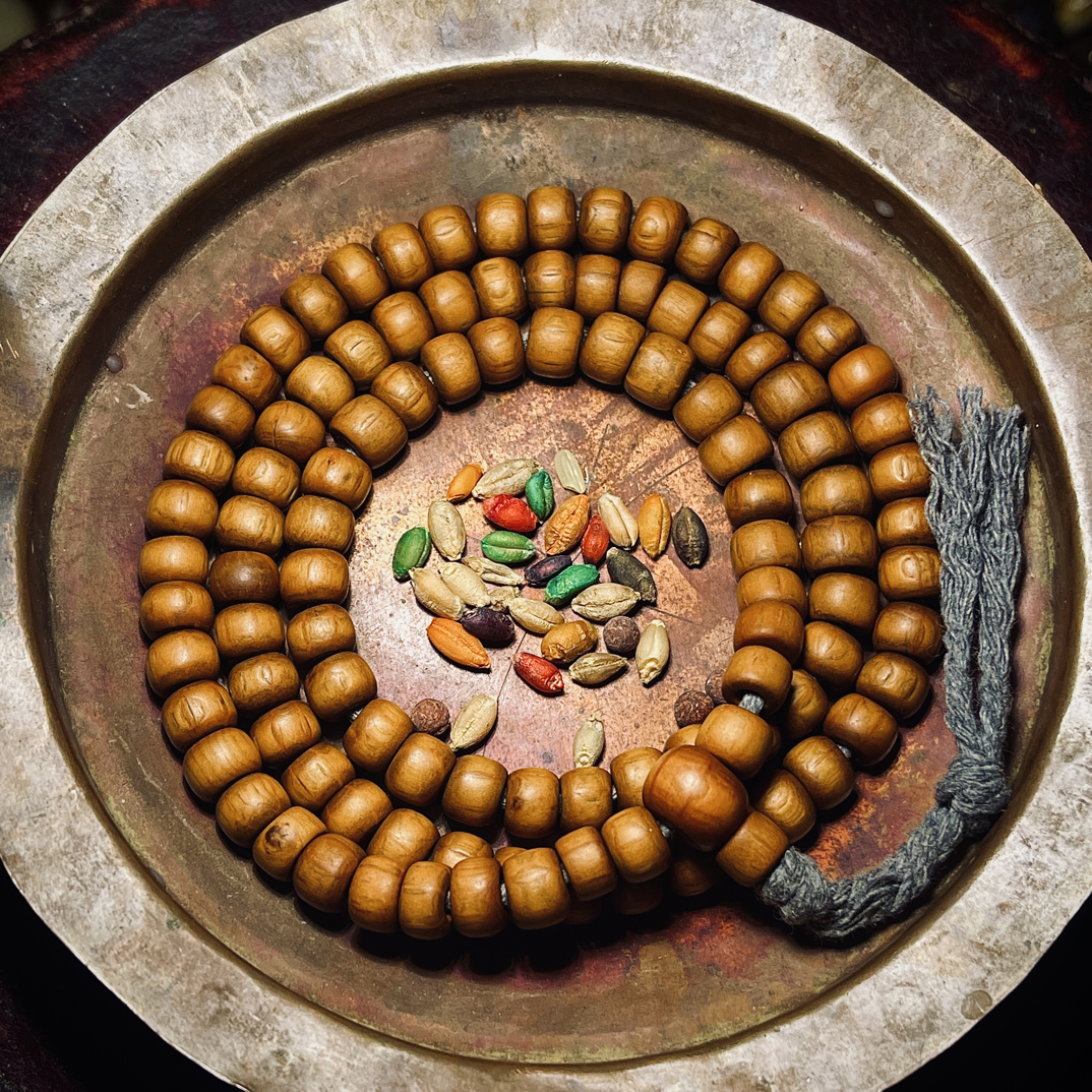 柒上集物 藏传大年份六道木