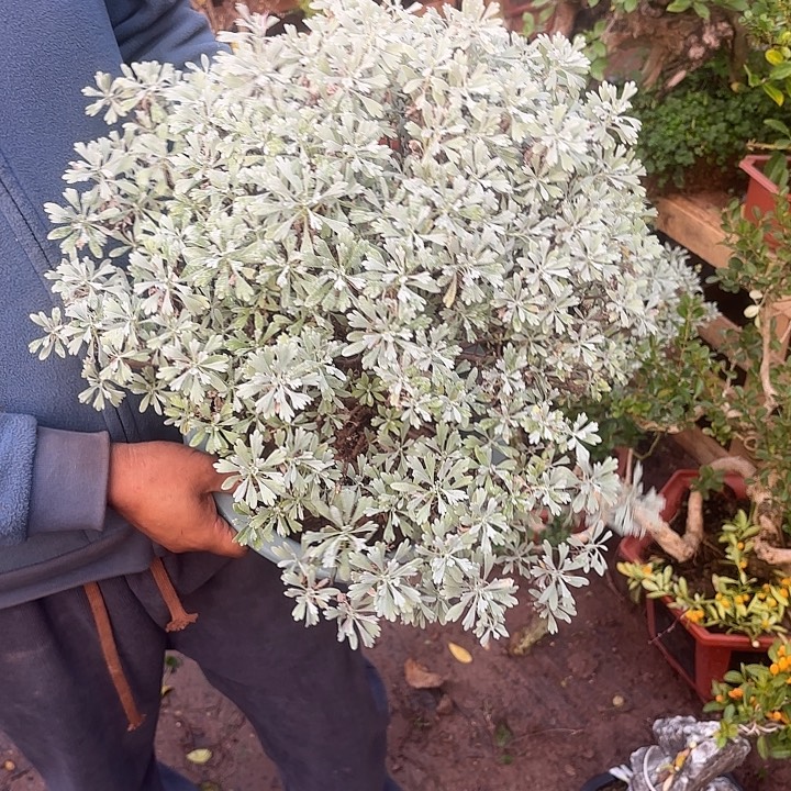 邱***波无花朵哈哈哈哈哈哈