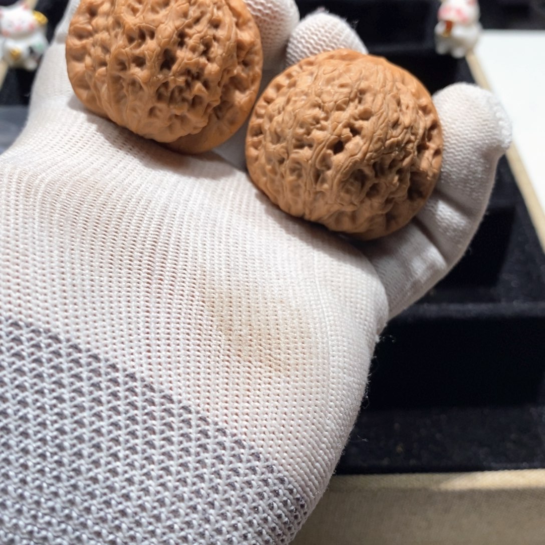 文玩核桃把件B652金公子（修）练手对