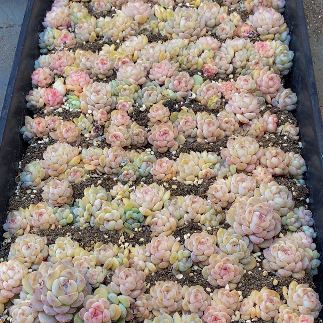 817的人在一起了。。我