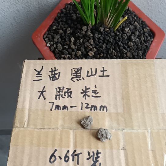 罗***军兰菌黑山土大颗粒6.6斤