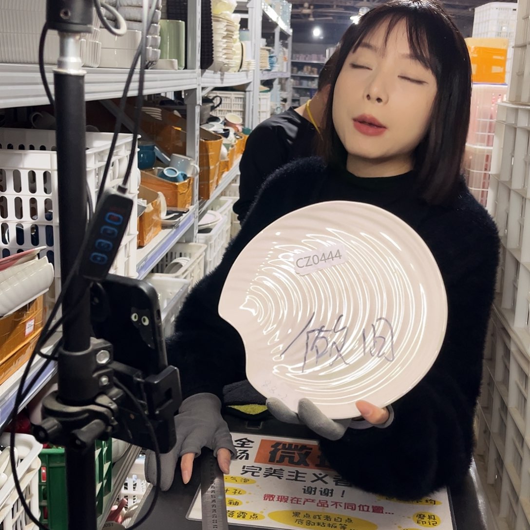 瓷片0444。          2个