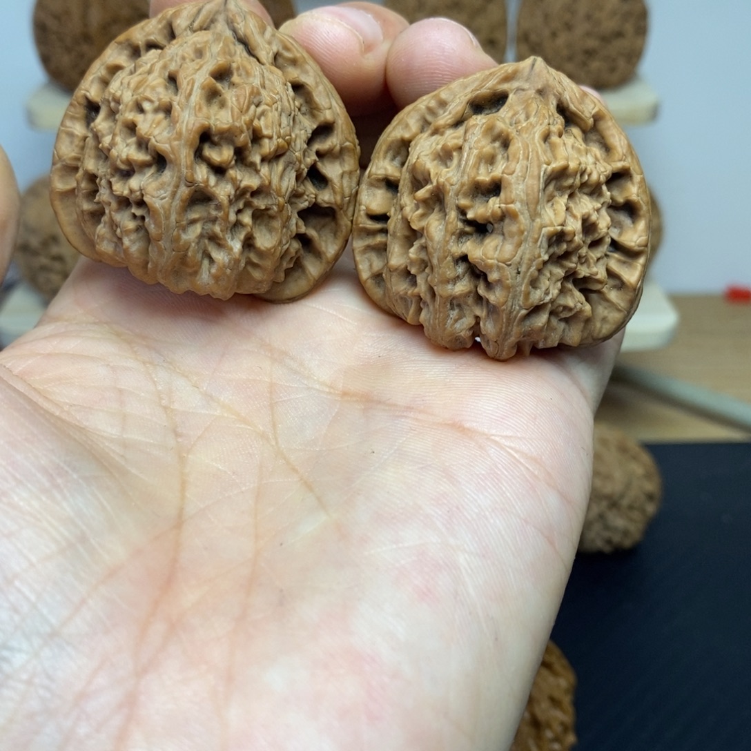 大叶紫檀（黑酸枝木类）41三角白