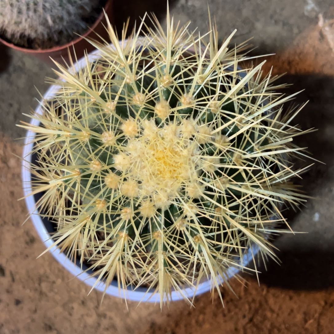 文****哈哈哈哈哈哈哈哈哈哈哈