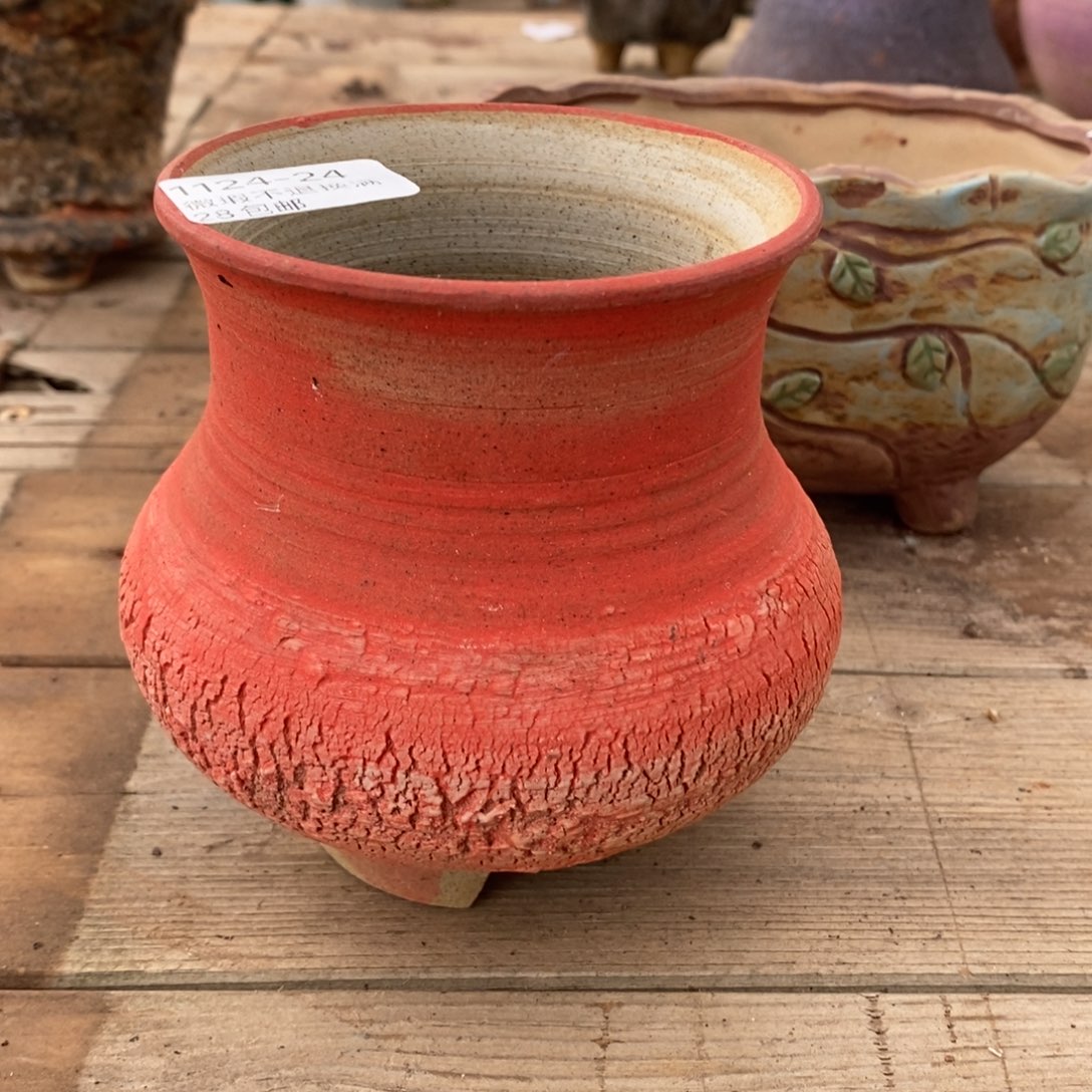 24号多肉盆口径8.5