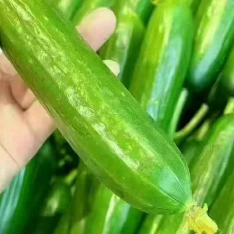 水果黄瓜一份黄瓜同城送