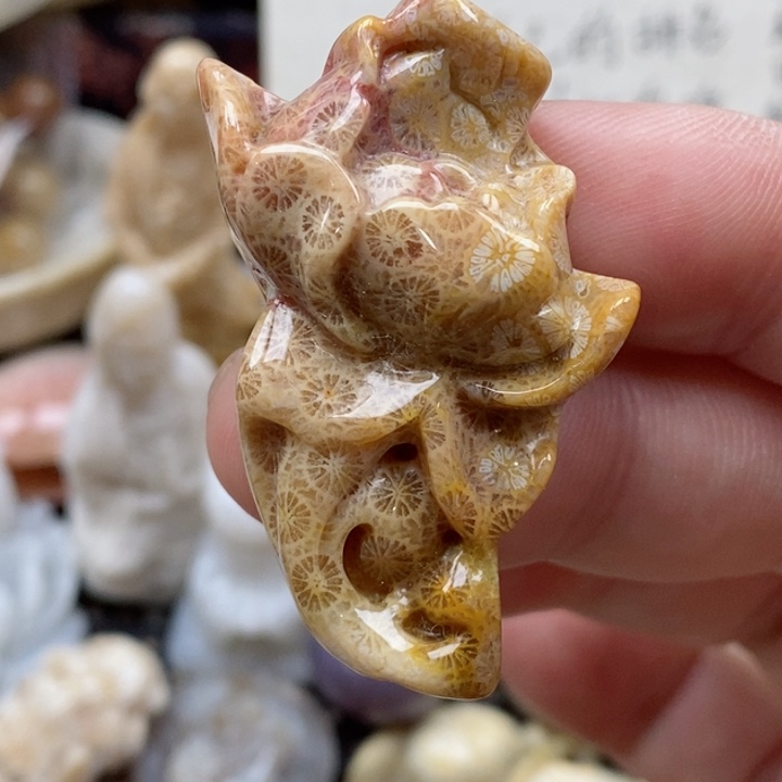 硅化珊瑚（珊瑚玉）未镶嵌颈饰