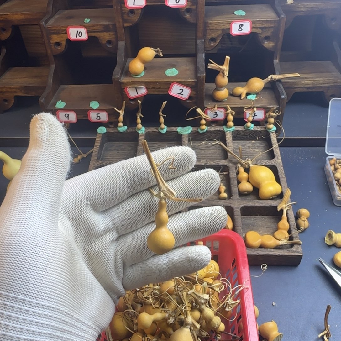 洋***洋我也是很喜欢这个节目的