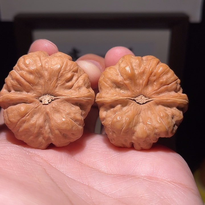 .***七手串/手链核桃036