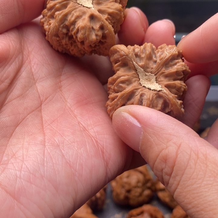 农***人文玩核桃把件密纹狮子头